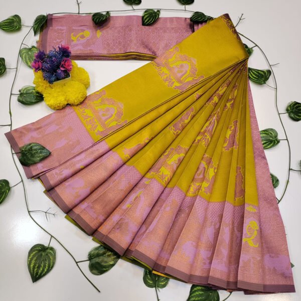 Pallaku Pavishna Saree