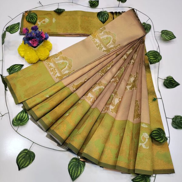 Pallaku Pavishna Saree