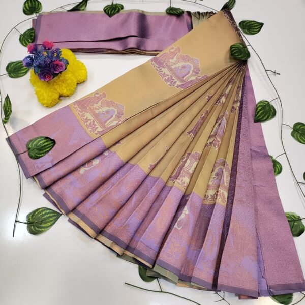 Pallaku Pavishna Saree