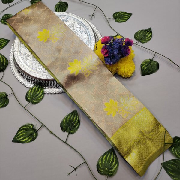 Lily Pavishna Saree